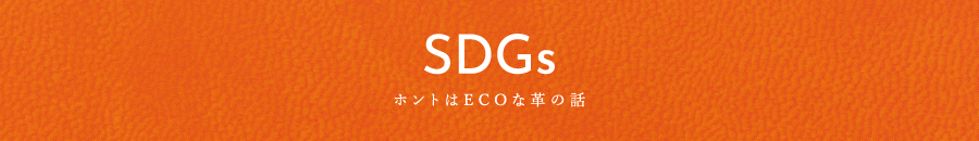 SDGs zgECOȊv̘b